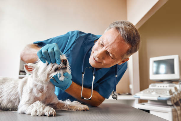 Best Emergency Tooth Extraction in Cramerton, NC